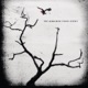 THE AIRBORNE TOXIC EVENT cover art