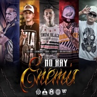 No Hay Enemis (feat. Qba, Balantainsz, Fuler & Chambas) - Single - The Maniakk Zaiko