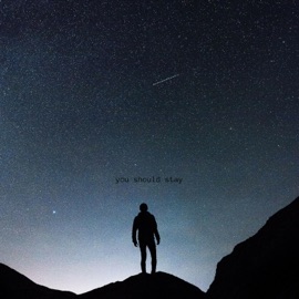 You Should Stay Liam Thomas