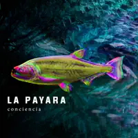 Pez Psicodélico — La Payara