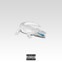 RAR. - Norsacce Berlusconi