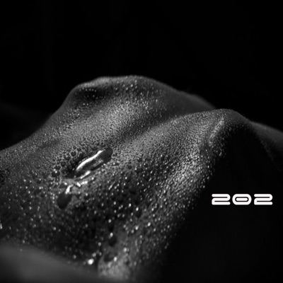 202 - Single