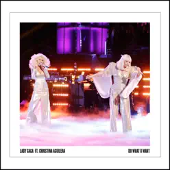 Do What U Want (feat. Christina Aguilera) - Single - Lady Gaga