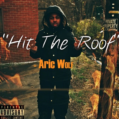 Hit the Roof! - Single
