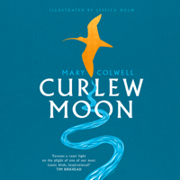 Mary Colwell - Curlew Moon artwork