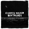 Ben Trickey / Charles Walker Split - EP