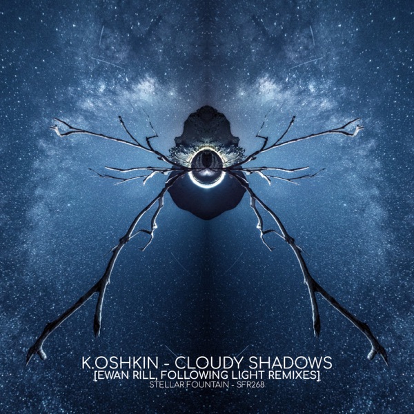 Cloudy Shadows - Single