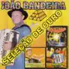 joao bandeira