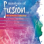 Masters of Fusion, Vol. 2 artwork