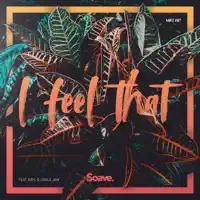 I Feel That (feat. Kayl & Carla Jam) — Mike Wit