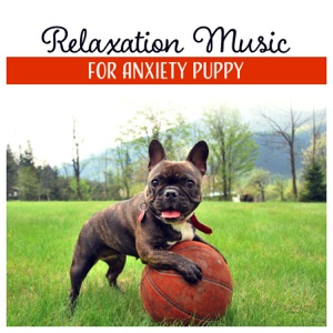 Relaxation Music for Anxiety Puppy - Soothing Music for Lonely Dogs, Calm Sleep, Harmony & Balance, Total Comfort, Calm Atmosphere