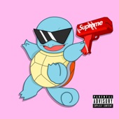 Squirtle artwork