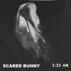 Scared Bunny