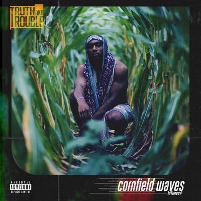 Cornfield Waves