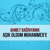 Aşık Oldum Muhammed'e artwork