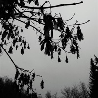 Archives (10 Years Affin) - Joachim Spieth