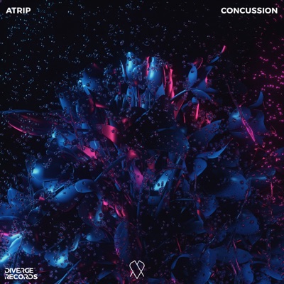 Concussion - Single