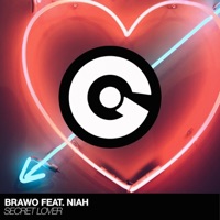 Secret Lover (feat. Niah) - Single - Brawo