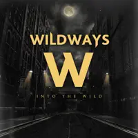 Don't Give Up Your Guns — Wildways