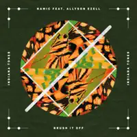 Brush It Off (feat. Allyson Ezell) — Namic