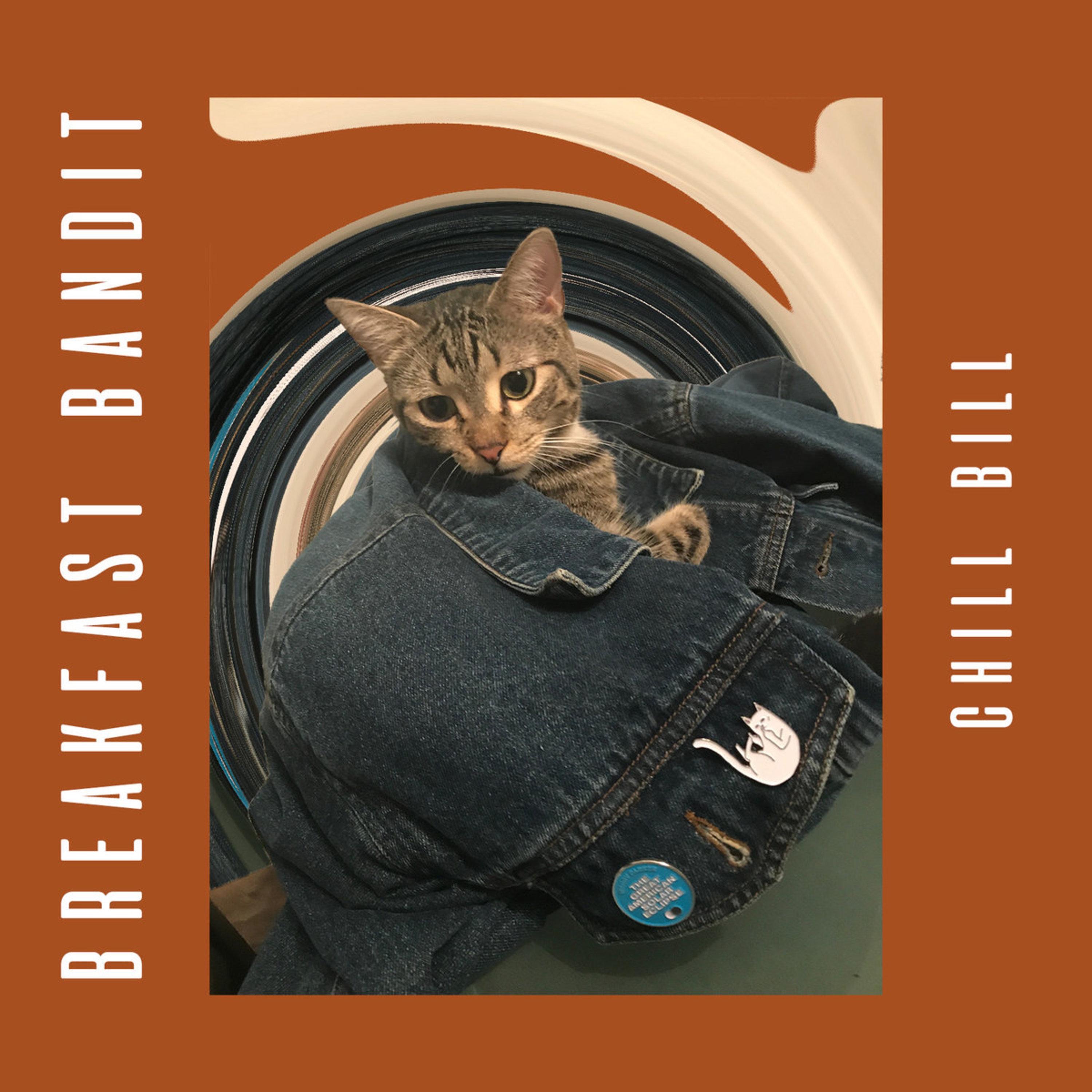 Breakfast Bandit