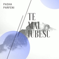 Te Mai Iubesc - Single - Pasha Parfeni