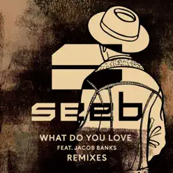 What Do You Love (Remixes) [feat. Jacob Banks] - Seeb