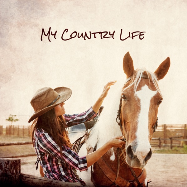 My Country Life – Music Tribute to Life's Simple Pleasures, Great Fiddles, Pedal Steel and Mandolin Solos, Beautiful Melodies and Harmonies