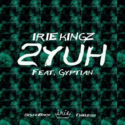 2 Yuh (feat. Gyptian) - Single
