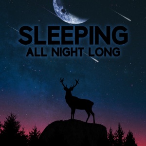 Sleeping All Night Long: Best Sounds for Deep Sleep and Relaxation After Long Day
