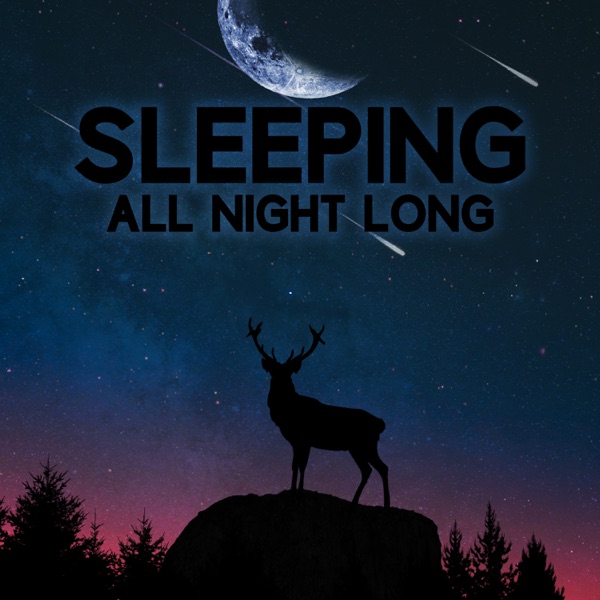 Sleeping All Night Long: Best Sounds for Deep Sleep and Relaxation After Long Day