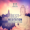 111 Tracks: Best Meditation Music Collection - Serenity Nature Sounds (Springwater, Birds & Gentle Rain) Yoga, Relaxing Instrumental Songs and Transcendental Meditation Mantras for Zen Garden - Various Artists