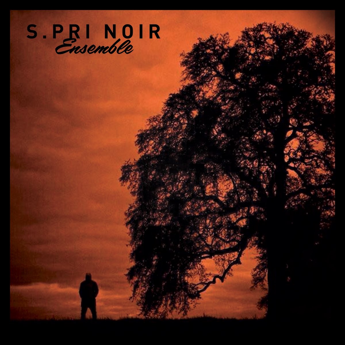 Ensemble - Single – Album par S.Pri Noir – Apple Music