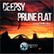Sunset Reflection (Dvit Bousa Remix) - Prune Flat & Deepsy lyrics
