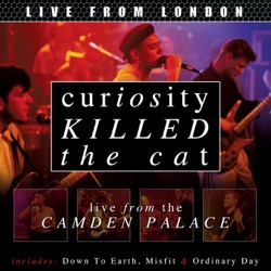 Curiosity Killed the Cat - Misfit