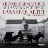 Bankett-Polonaise, Op. 135 (Arr. A. Weinmann for String Quartet) artwork