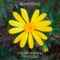 Orenga. Flors - Celdoni Fonoll lyrics