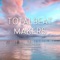 EDM Instrumental: Closer - TOTALBEAT MAKERS lyrics