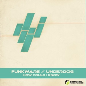 How Could I Know - EP