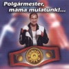 Polgármester, Máma Mulatunk!, 2002