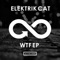 Wtf - Electrik Cat lyrics