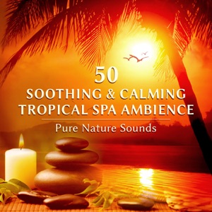 50 Soothing & Calming Spa Ambience: Pure Nature Sounds, Wellness Center Healing Massage, Inner Peace, Relaxation Meditation, Reiki Massage Music