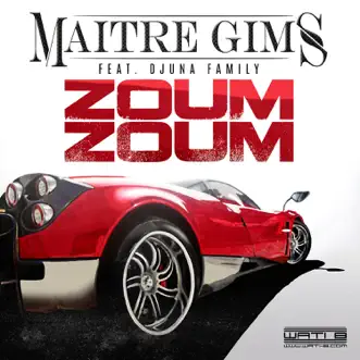 Zoum Zoum (feat. Djuna Family) by GIMS song reviws