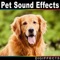 Siberian Husky Dog Panting and Whimpering - Digiffects Sound Effects Library lyrics