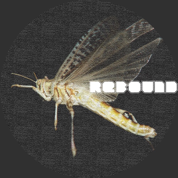 Las1997 (Dystøpia Range Edit)
