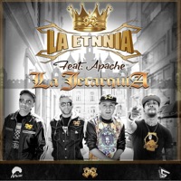 La Jerarquía (feat. Apache) - Single - La Etnnia