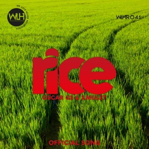 Rice - Single