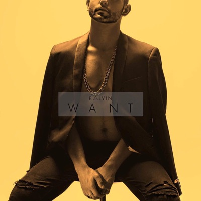 Want - Single