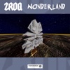 Wonderland - Single