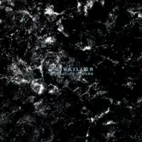 Pashupatinath Ambient — Painkiller